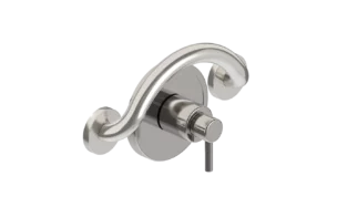 Brushed stainless steel PLUS crescent grab bar with a shower valve control.