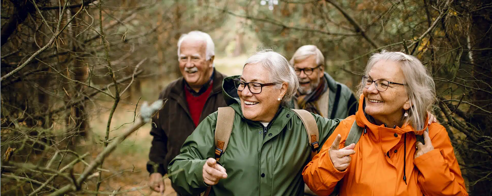 A group of older adults walking in the woods together on a autumn day.